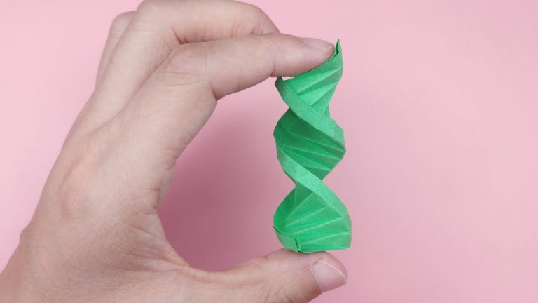 教你折双螺旋DNA，可以像弹簧一样变形